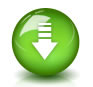 Download Raptivity Web Expert