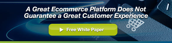 A Great Ecommerce Platform Does Not Guarantee a Great Customer Experience - Free White Paper