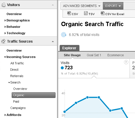 Organic Search Traffic